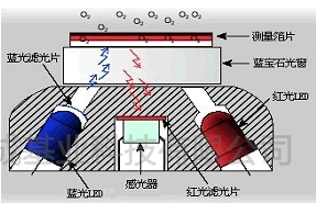 铭成基业供应大连博克斯荧光法溶解氧仪 | 荧光法溶解氧仪标准配置